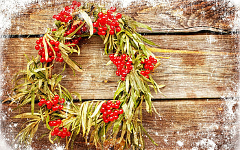 Christmas wreath, wooden, merry christmas, berries, beautiful, nice, happy new year, holiday, door, pretty, christmas, wall, lovely, new year, wreath HD wallpaper