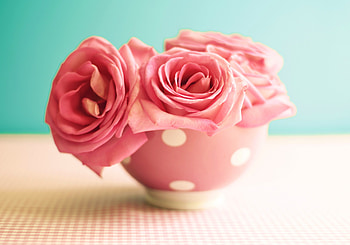 Vintage Roses, pink, roses, soft, flowers, vintage HD wallpaper