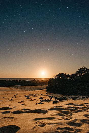 Nature, Sunset, Sun, Twilight, Beach, Sand, Bush, Horizon, Dusk HD phone wallpaper