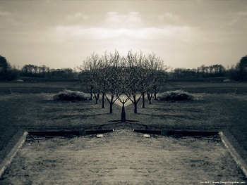 Mirrored Landscape, landscape, nature, mirrored HD wallpaper