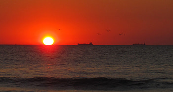 Horizon, boat, sea, birds, graphy, sunsets, waves, nature, sky, sun, sunset HD wallpaper