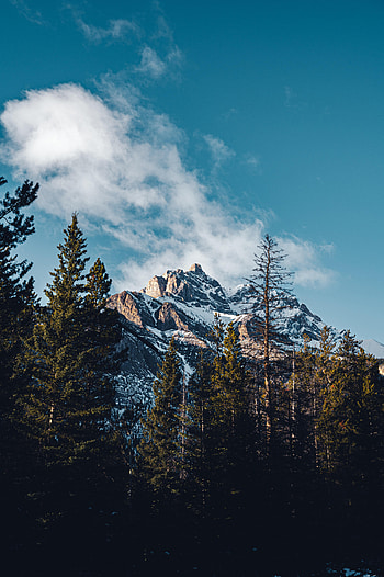 Nature, Trees, Mountain, Vertex, Top, Cloud HD phone wallpaper