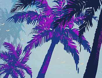 Nature, Trees, Art, Palms HD wallpaper