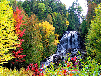 Beaver brook falls, river, colorful, colors, nice, trees, water, beaver brook, fall, bushes, beautiful, mountain, summer, falling, waterfall, nature, lovely, forest, stream HD wallpaper