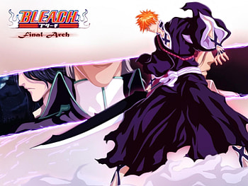 Final Arch, bleach, ichigo, anime, kurosaki ichigo, ichigo kurosaki HD wallpaper