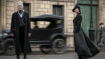 Gellert Grindelwald, Character , Fantastic Beasts movies, Top backgrounds HD wallpaper