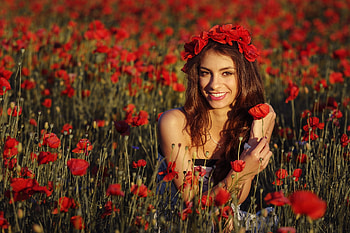 Poppies, lady, field, flower HD wallpaper