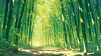 Enchanting Bamboo Forest: Ultra, bamboo, anime forest, bamboo forest, nature, sunlight HD wallpaper