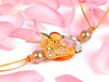 A special present, pastel, pink, roses, petals, soft, colors HD wallpaper