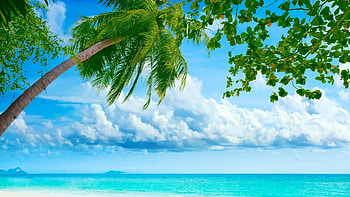 3D Nature (Mobile, iPad) HD wallpaper