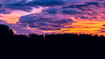 Sunset Clouds Forest , sunset, clouds, nature HD wallpaper