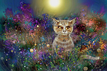 Night Cat, kitten, flowers, moon, painting HD wallpaper