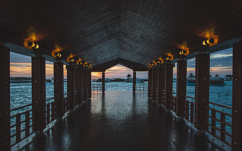 Nature, Palms, Pier, Ocean, Evening, Boardwalk HD wallpaper