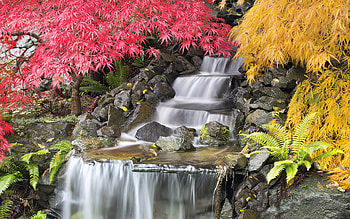 Waterfall, graphy, red, steps, folliage, orange, cascade, waterfal, rock HD wallpaper