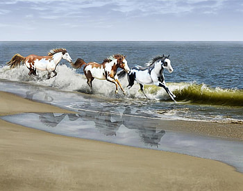 Painted ocean, by Barbara Hymer, animal, horse, run, barbara hymer, beach HD wallpaper