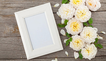 soft, flowers, abstract, frame HD wallpaper