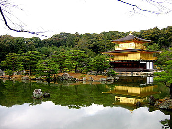Kinkaku-ji Japan, structure, orient, cultural, trees, building, water, lake HD wallpaper