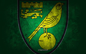 Norwich City FC, English football club, green stone background, Norwich City FC logo, grunge art, Premier League, football, England, Norwich City FC emblem HD wallpaper