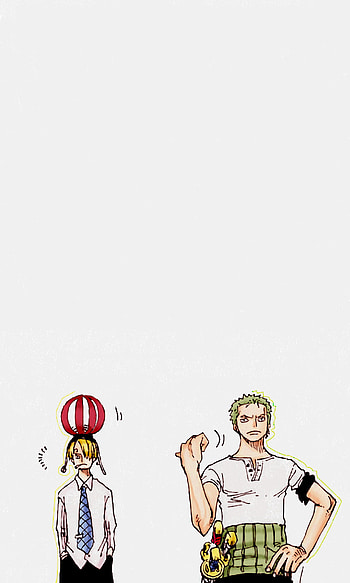 Zoro, Sanji, Anime, One Piece, Manga HD phone wallpaper