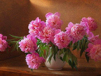 Flowers with Still Life, still life, pink, peonies, vase, nature, flowers HD wallpaper