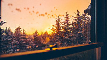 Beautiful Winter View From Window , winter, windows, graphy HD wallpaper