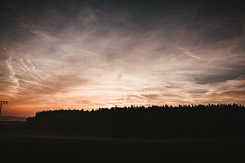 Nature, Trees, Sunset, Sky, Night, Outlines HD wallpaper