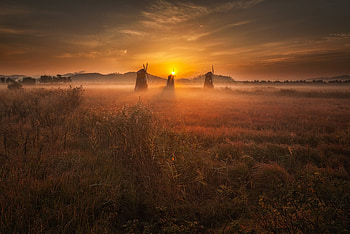 Windmills in Foggy Sunrise Field, Fog, Sunrise, Fields, Windmills, Nature, Sky HD wallpaper