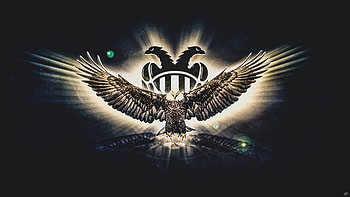 PAOK FC Thessaloniki, paokfc, greece, design, eagle, logo, football, partizan, shine HD wallpaper