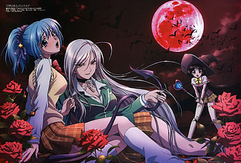 Rosario to Vampire, uniform, long hair, vampire, Akashiya Moka, witch, anime, moon, girls, flowers, sky, bats, hat, succub HD wallpaper