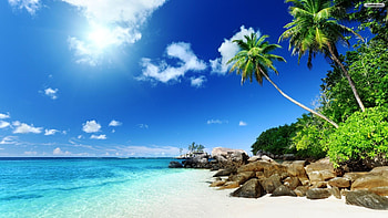 Wonderful Beach HD wallpaper