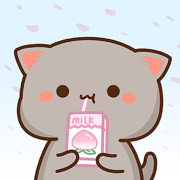dayahsn_ on cositas. Cute anime cat, Cute kawaii animals, Chibi cat HD phone wallpaper