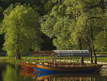Nature, Trees, Boats, Lake, Shore, Bank, Shed, Canopy, Slovenia HD wallpaper
