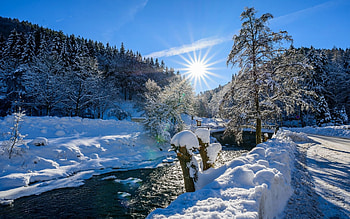 Winter Sunshine, river, snow, trees, landscape, bridge, road, sky HD wallpaper