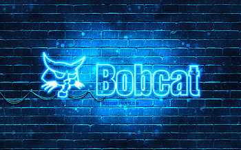 Bobcat blue logo, , blue brickwall, Bobcat logo, brands, Bobcat neon logo, Bobcat HD wallpaper