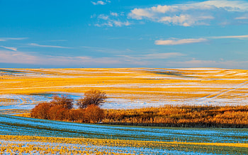 Autumn, Field, Sky, Snow, Trees HD wallpaper
