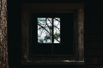 Wood, Wooden, Branches, Window, Technologies, Technology HD wallpaper