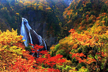 Colors of Autumn, , colors, waterfall, autumn, beautiful HD wallpaper