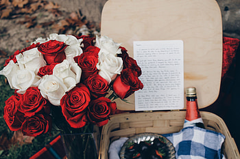Flowers, Roses, Bouquet, Composition HD wallpaper