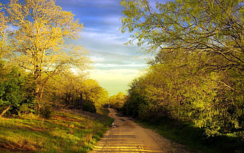 Nature, Trees, Summer, Road, Country, Countryside HD wallpaper