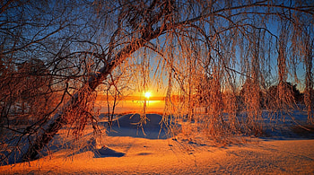 Winter sunset, rays, winter, frost, landsdcape, glow, beautiful, snow, trees, sky, sunset HD wallpaper
