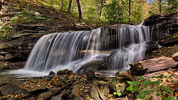 Beautiful waterfall cascading over rocks in a serene forest in Hamilton, Ontario, during fall. HD wallpaper