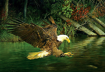 Catching Dinner, artwork, painting, trees, Eagle, lake HD wallpaper