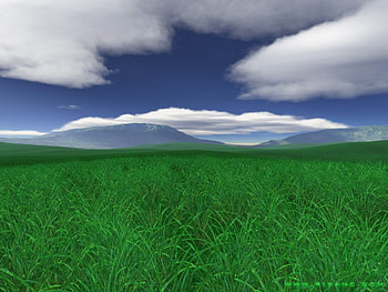 GRASS AND SKY, grass, sky HD wallpaper