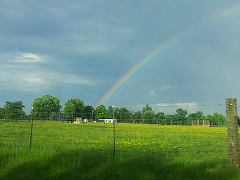 Rainbow in field, blue, great, pretty, green HD wallpaper