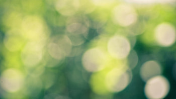 Abstract, Glare, Circles, Blur, Smooth, Faded HD wallpaper