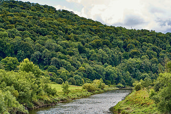 Nature, Water, Rivers, Trees, Bush, Forest HD wallpaper