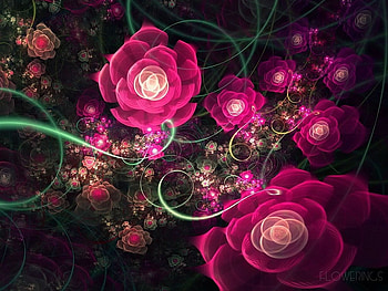 colors, nature, abstract HD wallpaper