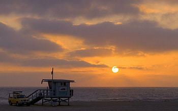 Beach at the City in - From New York to Miami HD wallpaper