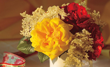 Flowers, Roses, Cup, Close-Up, Bouquet, Mug HD wallpaper