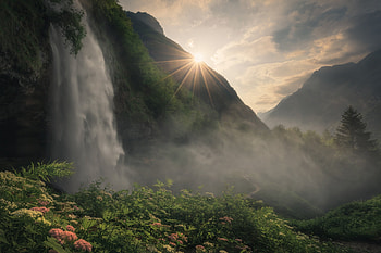 Waterfall, nature, sunset, flower HD wallpaper